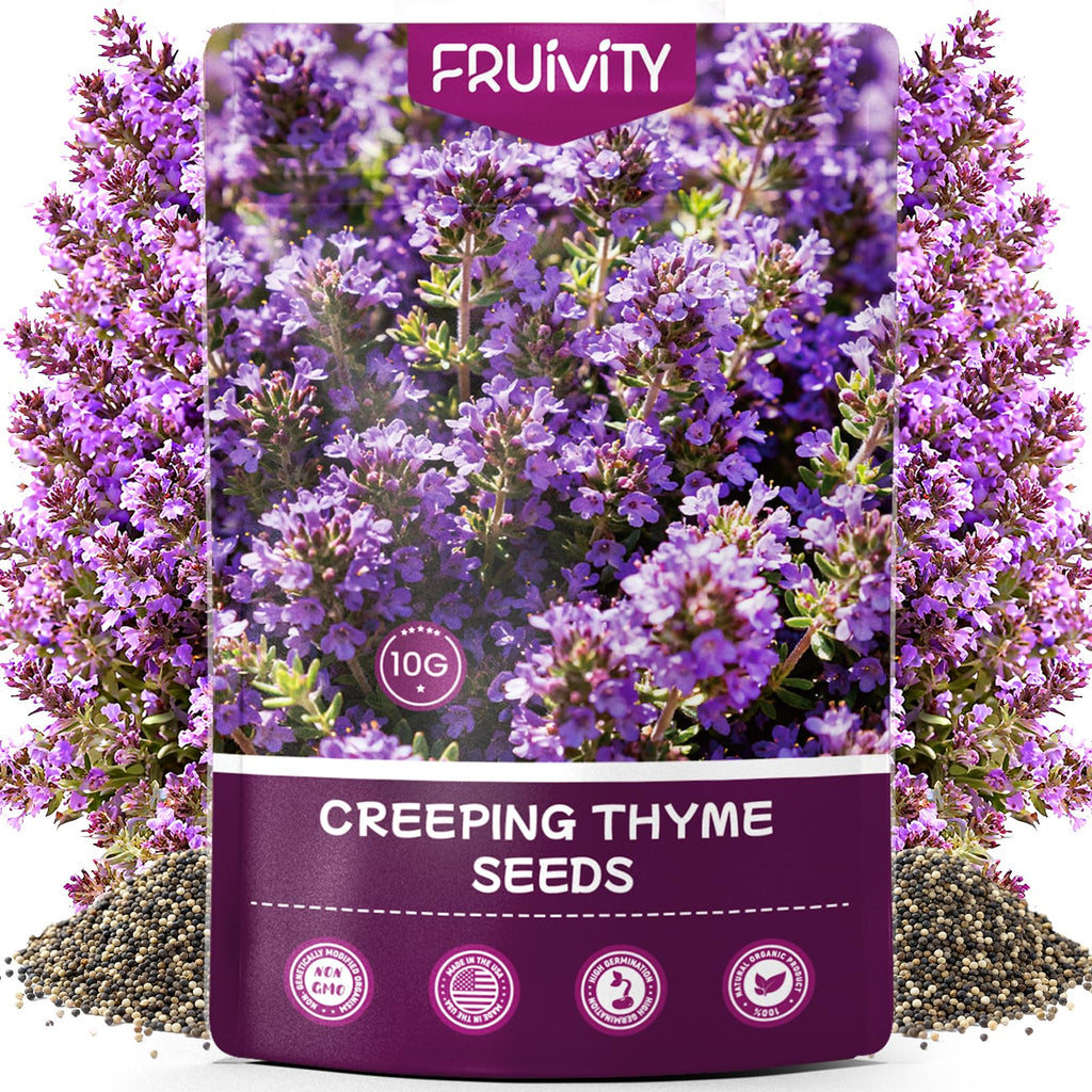 20000+pcs Creeping Thyme Seeds for Planting, Perennial Ground Cover Plants Heirloom Flowers Seeds Fragrant Herb Seeds for Lawns & Paths Garden