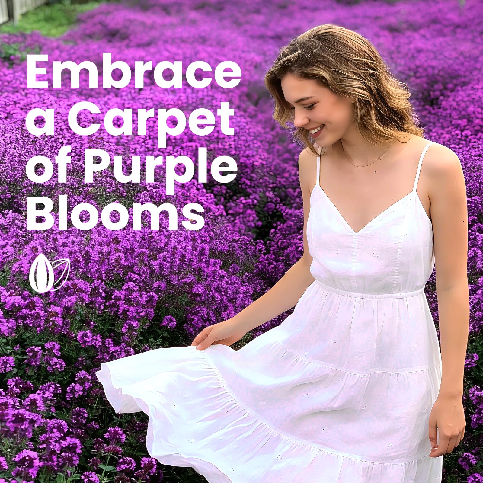 20000+pcs Creeping Thyme Seeds for Planting, Perennial Ground Cover Plants Heirloom Flowers Seeds Fragrant Herb Seeds for Lawns & Paths Garden